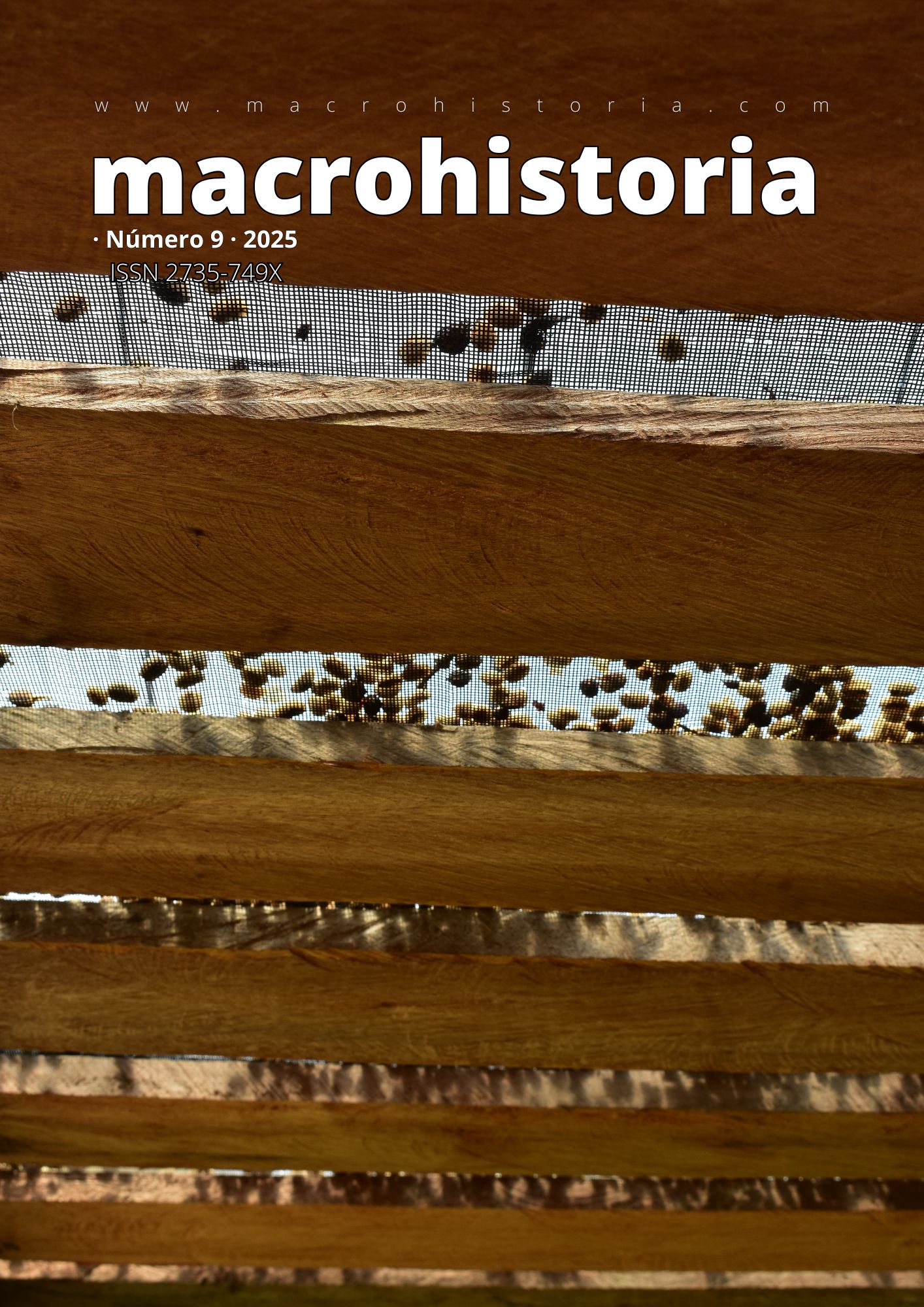 					Ver Núm. 9 (2025)
				